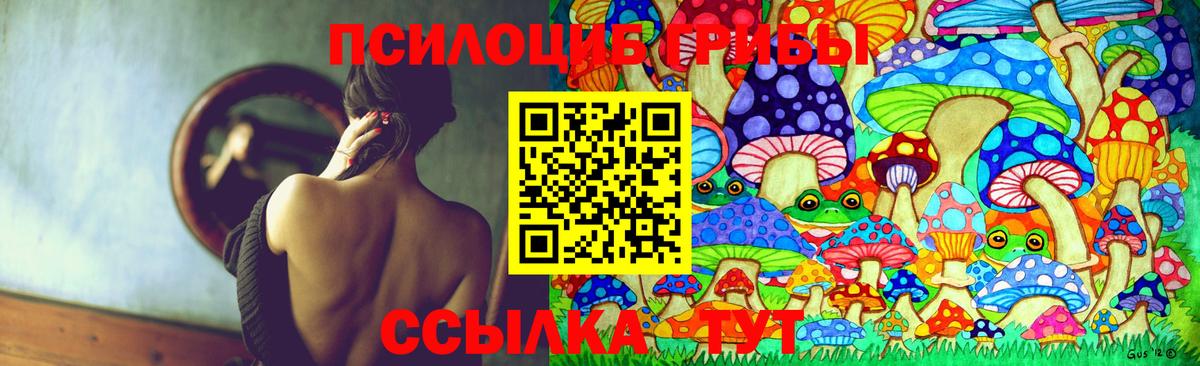 Мценск  Галлюциногенные грибы Psilocybine cubensis  Вход с VPN  Псилоцибиновые грибы прущие грибы 